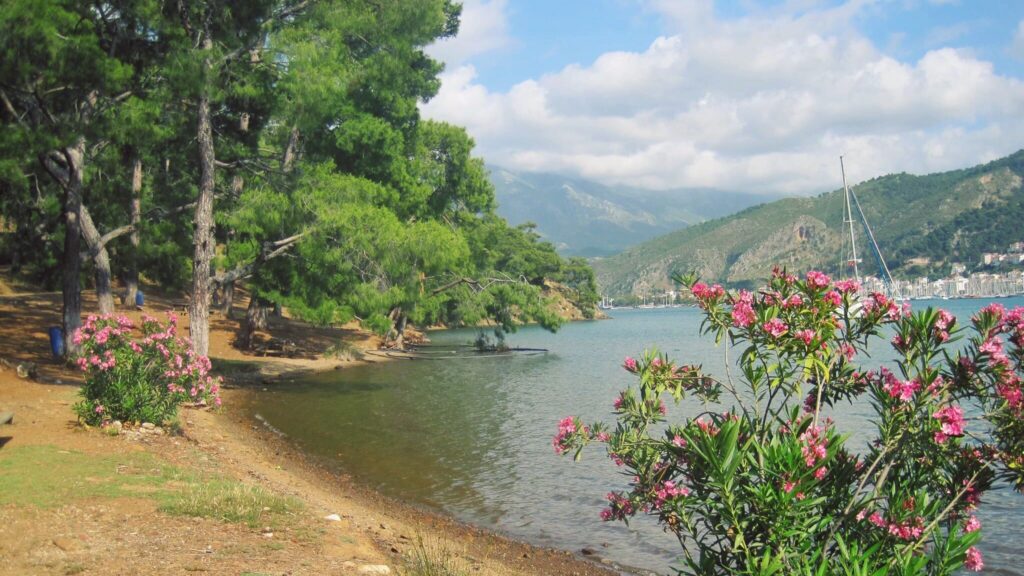 Aksazlar Koyu fethiye tekne kiralama