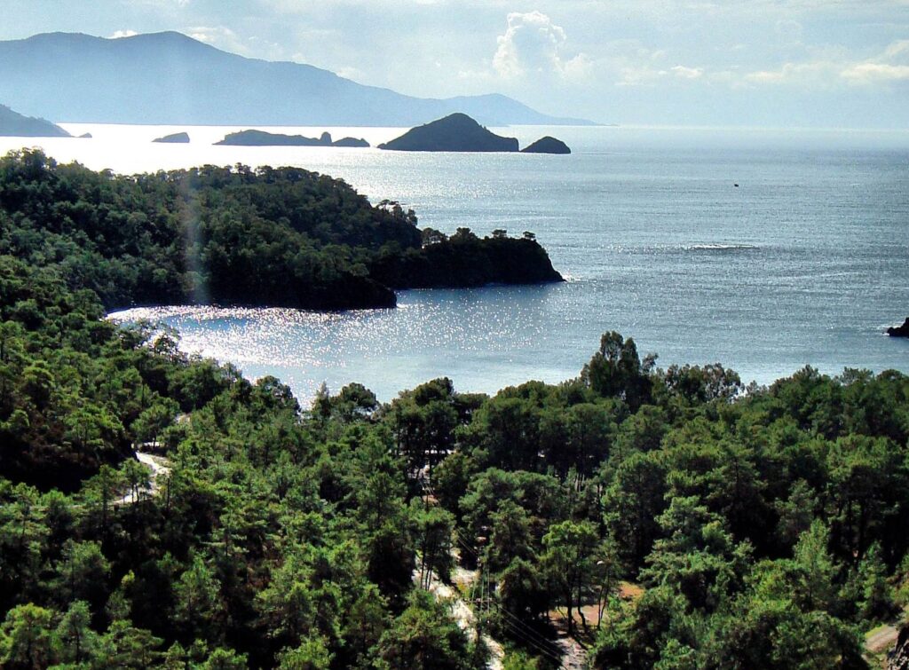 Katrancı Koyu fethiye tekne kiralama